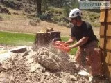 Tree work for everyone