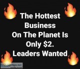 NEW Pocket Change Business Explodes Overnight