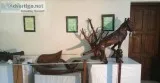 The Real Art Is Take Off To The Excellence Bay Island Driftwood 