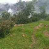 DTCP approved Residential Plots for sale at Kodaikanal