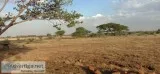 Newly launched DTCP approved Plots for sale at Ponneri Smart Cit