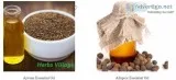 Shop Pure Natural Essential Oil - Herbs Village