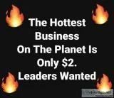 NEW Pocket Change Business Explodes Overnight