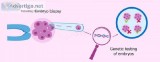 PGD and PGS Treatment in Hyderabad