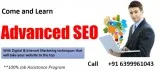 Best SEO Training Institute in Delhi NCR Learn Step by Step