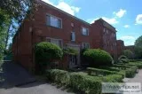 1 bedroom spacious on bus line in beautiful Squirrelhill