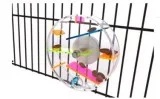 Large foraging Maze for your smart parrots