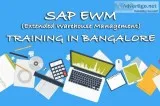 SAP EWM Training in Bangalore