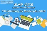 SAP GTS Training in Bangalore