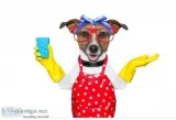 Are you looking for any cleaningdogwalking petsiitingbabysitti n