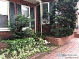 Need Help setting up a Delaware Office in downtown Wilmington