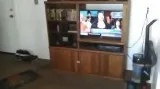 Entertainment Center