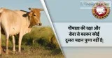 URG group go seva Sansthan