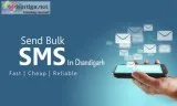 Best bulk SMS service provider in Chandigarh