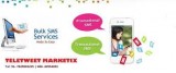 Bulk SMS Service In Jaipur  Best Bulk Email Service Jaipur