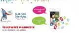 Bulk SMS Service In Jaipur  Best Bulk Email Service Jaipur