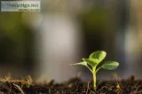 B.sc Agri Courses