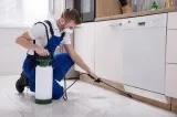 Pest Control Services in Dwarka