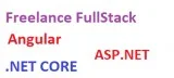 Freelance Angular Developer
