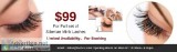 Lash Service and Eyelash and Microblading Certification Dallas