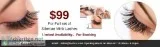 Lash Service and Eyelash and Microblading Certification Dallas