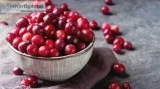 Buy best Cranberry online in India from Dryfruitkart