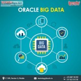 Join the best Oracle Big Data training Course in Noida