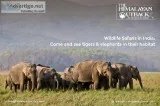 Wildlife tours in India