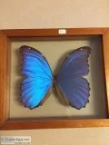 walldecoration
