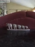 5 soapstone elephants