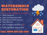 Water-Flood-Mold Damage Repair Basement Floods Emergency Service