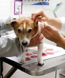 Millcreek Veterinary Hospital  Clinic in Mississauga