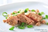 World Canned Tuna Market Research Report 2024 (Covering USA Euro