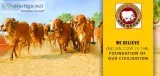 URG Group URGgo seva trust