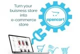 Avail Skilled OpenCart Developer At 18Hour