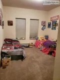 Apartment for sublet immediately