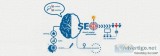 SEO AgencyCompany and Services in Bangalore  IM Solutions