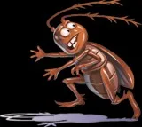 pest control delhi