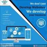 Website development Expert in Delhi