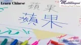 Best Way to Learn the Chinese Language