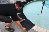 Critter Pricker &ndash Get Rid of Raccoon poop