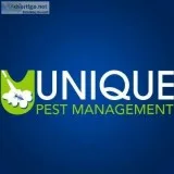 Cockroach Control Services in Chennai