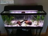 Twenty gal tank and stand