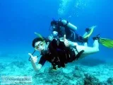 SCUBA DIVING IN MALVAN