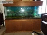 150 gallon aquarium