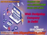 "  About any Web Designing Company in Delhi "