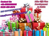 Company service for Mlm Gift Plan Development in Noida