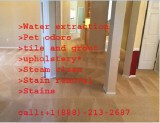 Best Commercial and Residential Carpet Cleaning Services