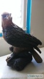 LARGE LIFELIKE REDTAIL HAWK STATUE
