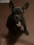 WALTER